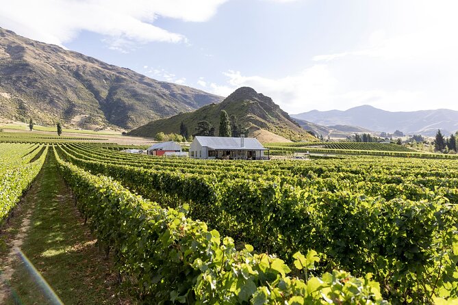 Award Winning Premium Wine Tour Queenstown Tasting at 4 Wineries - Getting There in Style: Luxury Van, Pickup, and a Small Group
