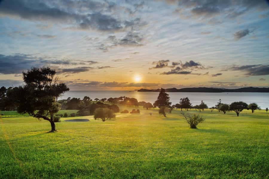 Bay of Islands: 1 Hour Scenic Bay of Islands Tour - Who this one-hour Bay of Islands tour suits best