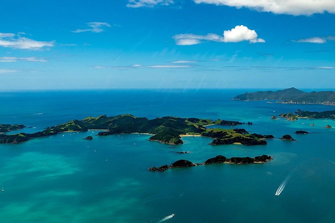 Bay of Islands 2-Day Small Group Tour & Cruise from Auckland - Waitangi Treaty Grounds: plan for a guided hour and a meaningful setting