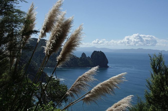 Bay of Islands 2-Day Small Group Tour & Cruise from Auckland - Urupukapuka Island and Otehei Bay: time to stretch on the sand