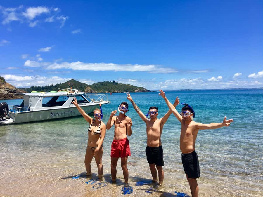 Bay of Islands: 4.5 Hour Day Cruise and Island Getaway Tour - Key things I’d zoom in on