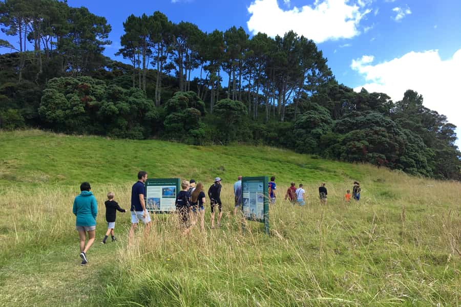 Bay of Islands: 4.5 Hour Day Cruise and Island Getaway Tour - Roberton Island (Twin Lagoons): the short walk that earns a huge viewpoint