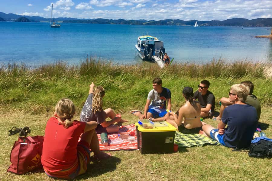 Bay of Islands: 4.5 Hour Day Cruise and Island Getaway Tour - Wildlife spotting is more than a side quest