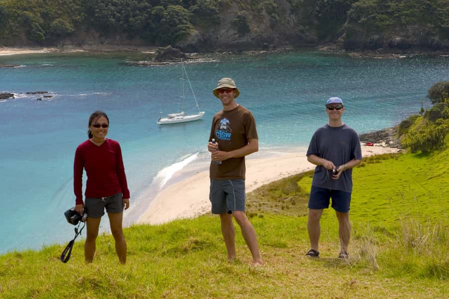 Bay of Islands: Awesome Day Sailing Tour with Island Stop - Price and value: why $104 can feel fair for what you get