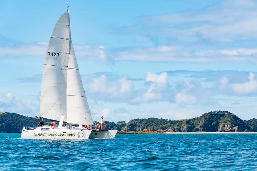 Bay of Islands: Catamaran Sail, Wildlife Island & Lunch - Quick Hit Highlights