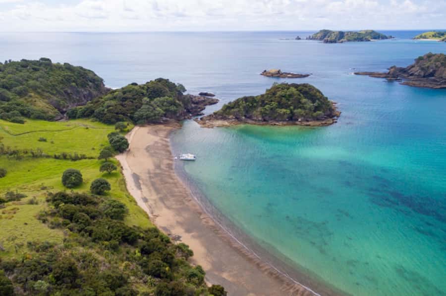 Bay of Islands: Catamaran Sail, Wildlife Island & Lunch - Price and Value: Is $134 Worth It?