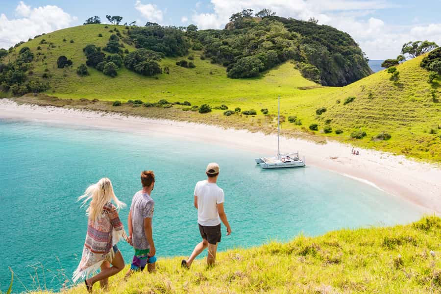 Bay of Islands: Catamaran Sail, Wildlife Island & Lunch - A Real Sailing Day on the Bay of Islands, Plus Time on Land