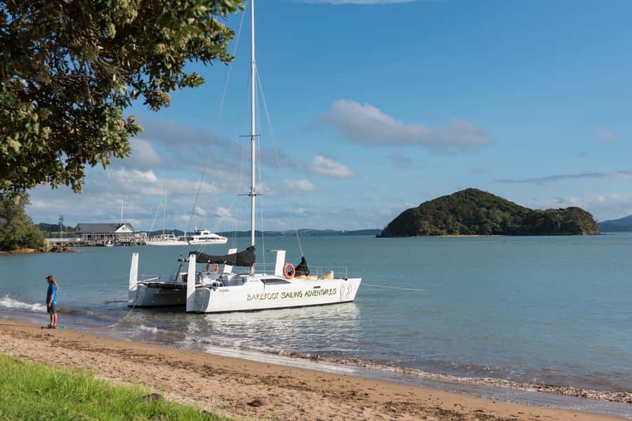 Bay of Islands: Catamaran Sail, Wildlife Island & Lunch - Two Hours of Sailing: Sightseeing, Wind, and Wildlife Potential
