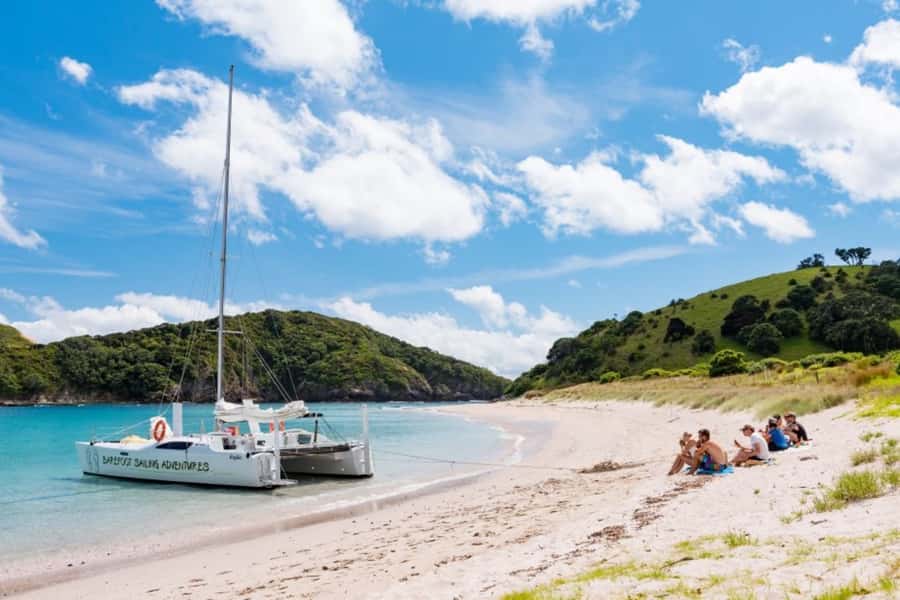 Bay of Islands: Catamaran Sail, Wildlife Island & Lunch - Picnic Lunch With a View, Not a Lunch Break