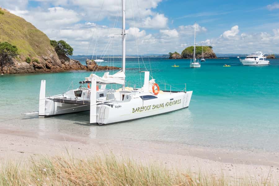 Bay of Islands: Catamaran Sail, Wildlife Island & Lunch - Comfort on a Catamaran: Bean Bags, Space, and the Pace