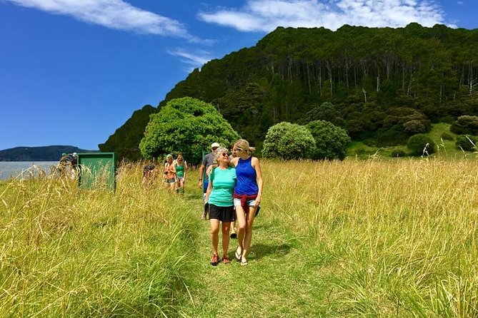 Bay of Islands Cruise & Island Tour - Snorkel, Hike,Swim,Wildlife - The second island stop for snorkeling and swimming, plus picnic choices