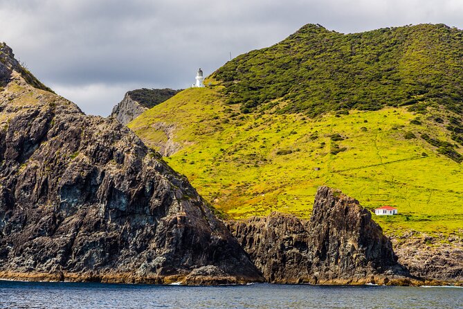 Bay of Islands Cruise & Island Tour - Snorkel, Hike,Swim,Wildlife - Price and value: what the tour offers for $104.88