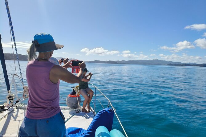 Bay of Islands: Day Sailing Cruise with Island Stop and Lunch - Return to Paihia by 3:30, With a Wind-Friendly Finish