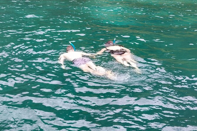 Bay of Islands: Day Sailing Cruise with Island Stop and Lunch - Value at $133.42: What You’re Really Paying For