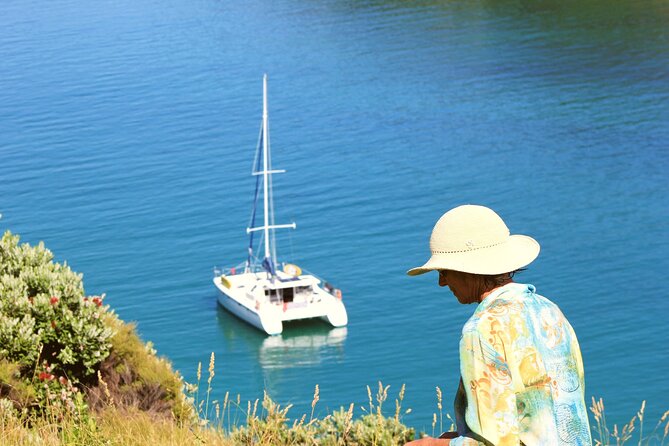 Bay of Islands: Day Sailing Cruise with Island Stop and Lunch - Paihia Wharf Start: Getting Out on the Water by 9:30