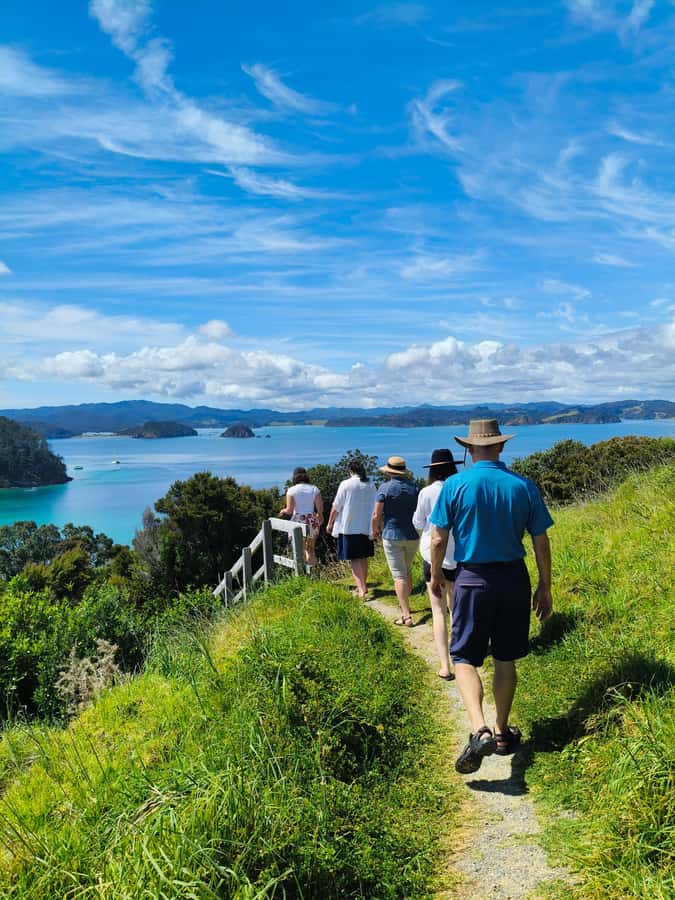Bay of Islands: Day Sailing Cruise with Island Stop & Lunch - Bay of Islands sailing from Paihia that actually feels like sailing