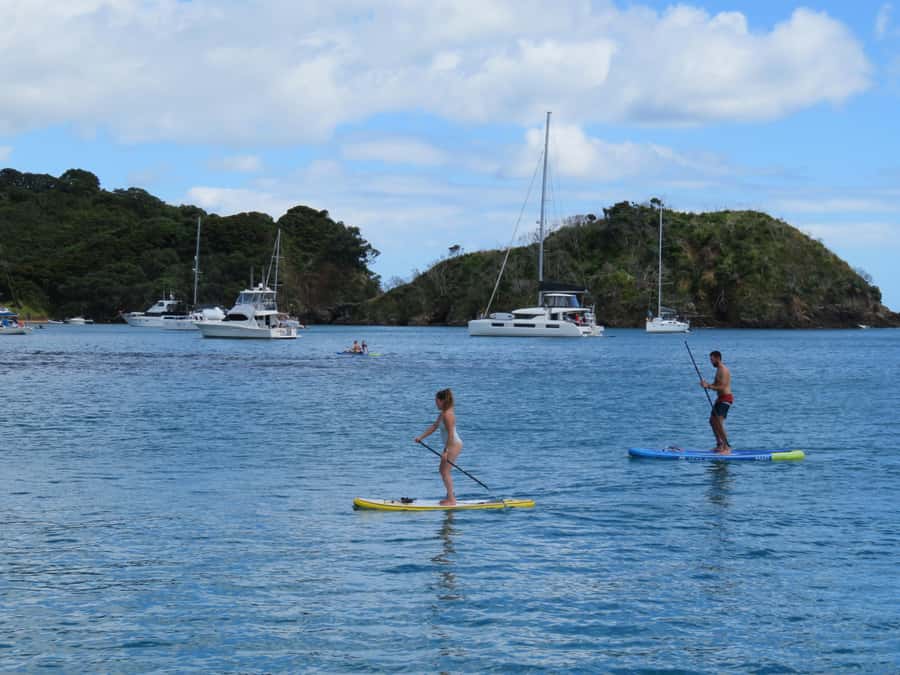 Bay of Islands: Day Sailing Cruise with Island Stop & Lunch - The secret island stop: snorkeling, SUP, and a short self-guided walk