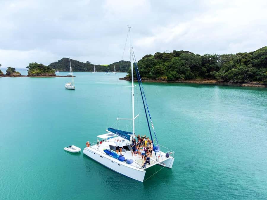 Bay of Islands: Day Sailing Cruise with Island Stop & Lunch - Price check: is $128 a good value for a 6-hour Bay of Islands day?