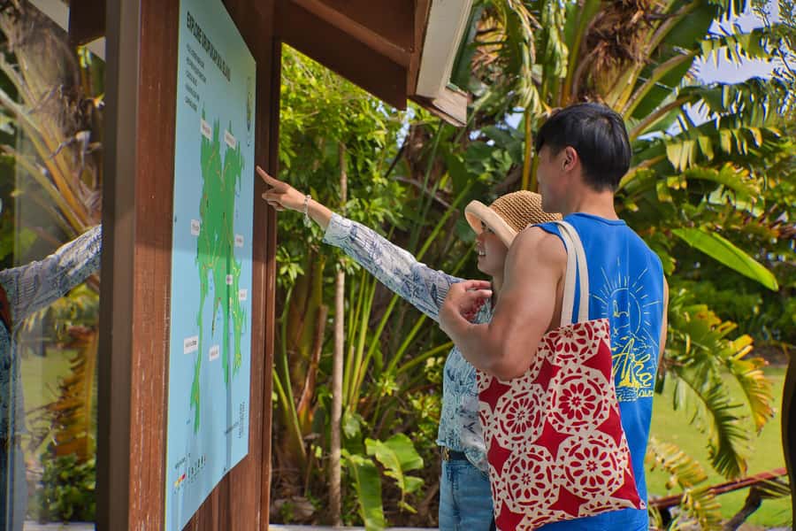 Bay of Islands: Discover the Bay Cruise with Island Lunch - Urupukapuka Island and Otehei Bay: your 1.5-hour lunch and reset