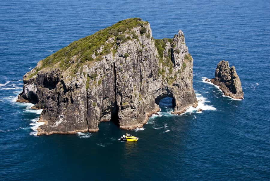 Bay of Islands: Discover the Bay Cruise with Island Lunch - Wildlife spotting that feels practical, not random