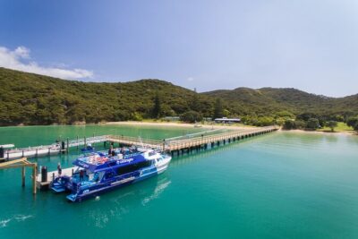 Bay of Islands Discovery Experience from Auckland incl. Hole In The Rock Cruise
