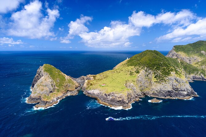 Bay of Islands Discovery Experience from Auckland incl. Hole In The Rock Cruise - Urupukapuka and Otehei Bay: your 1.5-hour island reset