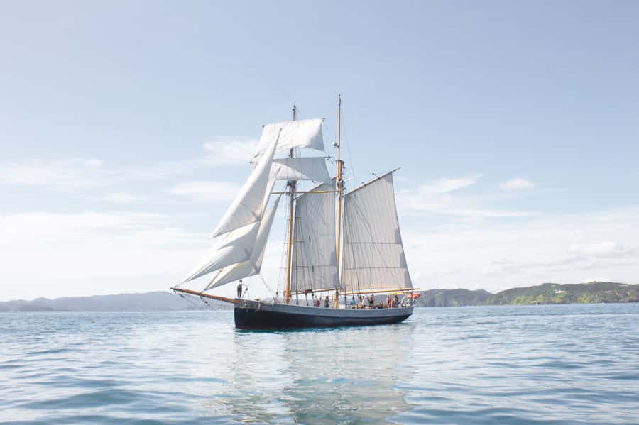 Bay of Islands: Full-Day Tall Ship Sailing Excursion - First step: Russell Wharf at 10:00 AM and the R. Tucker Thompson vibe