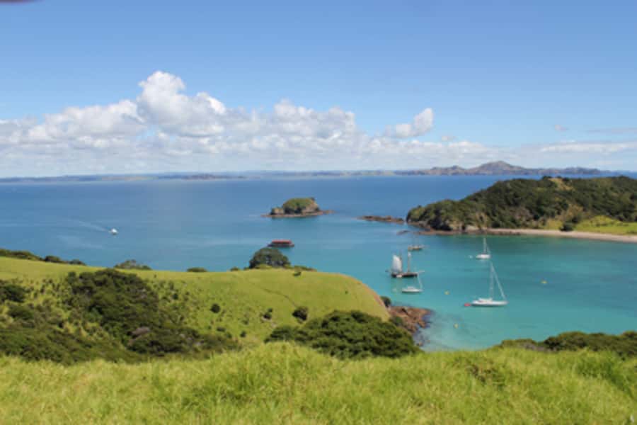 Bay of Islands: Full-Day Tall Ship Sailing Excursion - Who this suits best (and who might want to compare options)