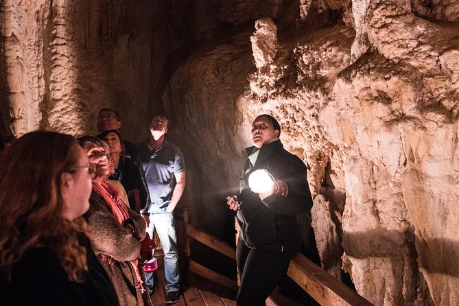Bay of Islands Glow Worm Caves & Scenic Shore Excursion - Glow worms, waterfalls, and kauri in one 5.5-hour block