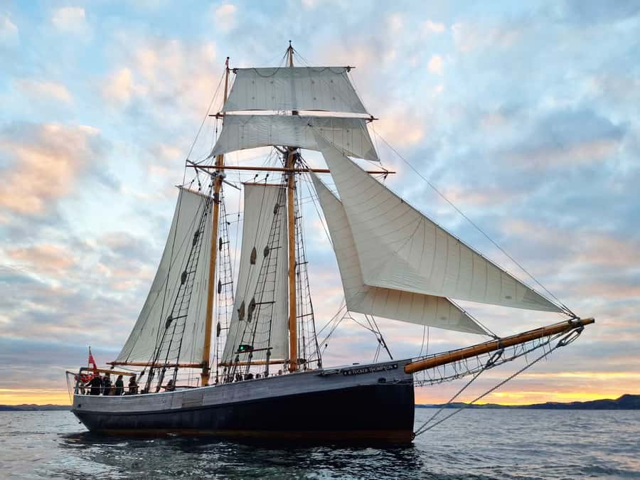 Bay of Islands: Late Afternoon Sailing Cruise - How the included ferry fits into your afternoon
