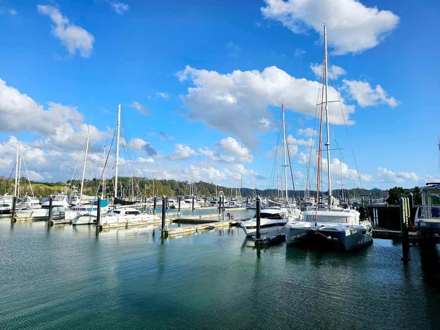 Bay of Islands - Mini Tour (75-90 mins) - Key things to know before you go