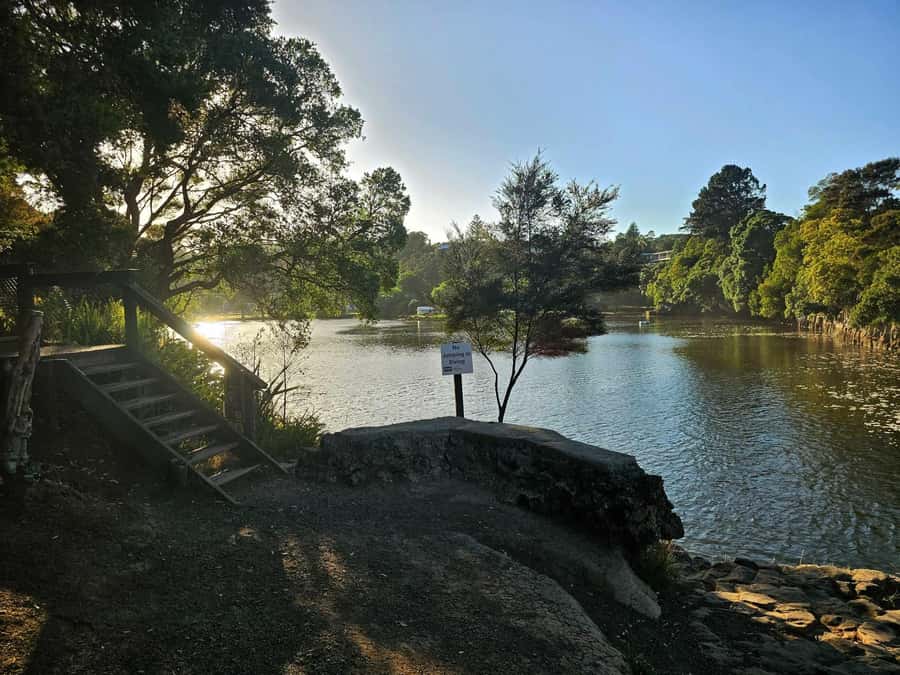 Bay of Islands - Mini Tour (75-90 mins) - Timing and practical flow: what happens when