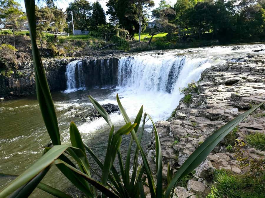 Bay of Islands - Mini Tour (75-90 mins) - Opua Bay and Marina: your first photo-friendly payoff