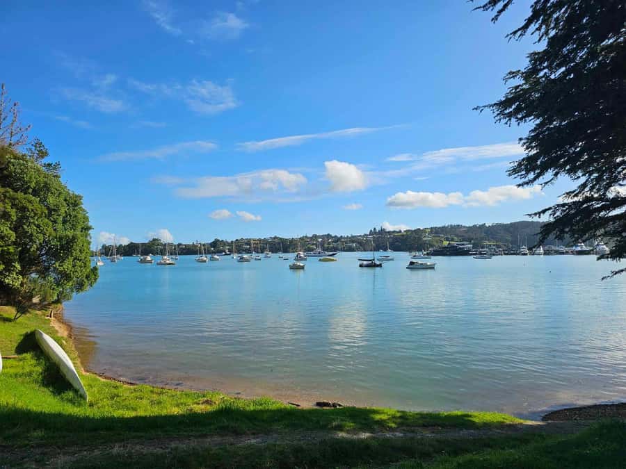 Bay of Islands - Mini Tour (75-90 mins) - Waitangi Lookout and the Treaty Grounds drop-off