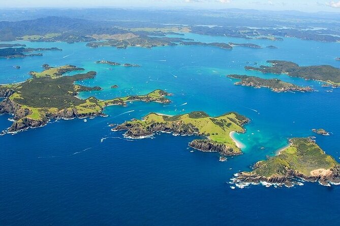 Bay of Islands Private Tour - Price and value: what you’re paying for at $589.54 per person