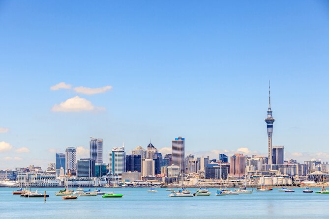 Bay of Islands Private Tour - Comfort, food, and small details that matter on a long day