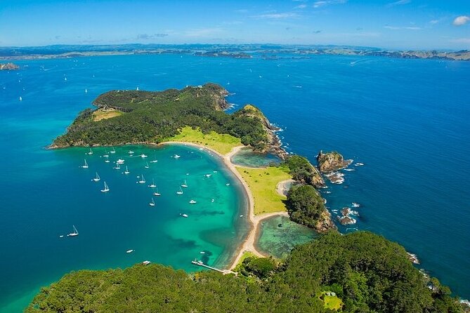 Bay of Islands Private Tour - Weather and timing: the only real wildcard