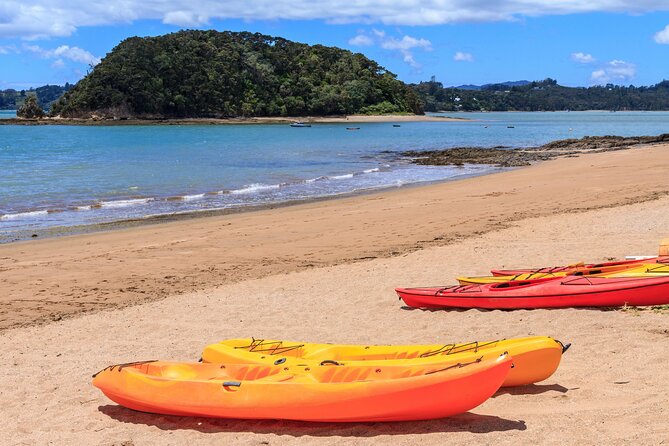 Bay of Islands Scenic Tour - Who will enjoy this tour the most