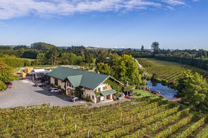 Bay of Islands, Spirit & Craft Beer Tour with Lunch - Ake Ake Vineyard near Kerikeri: grape-growing first, tasting second