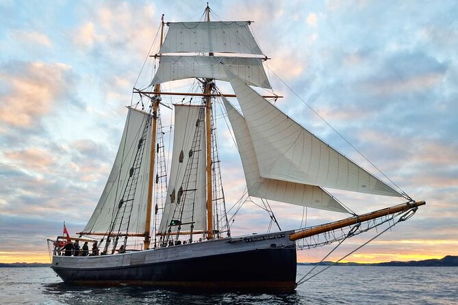 Bay of Islands Tall Ship Sundowner Sailing - Key things to know before you go