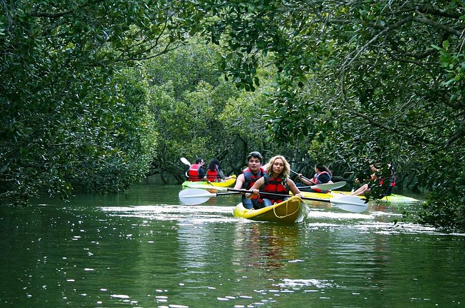 Bay of islands Waterfall Cruise Kayaking Tour - What the Guides Add: More Than Just Directions