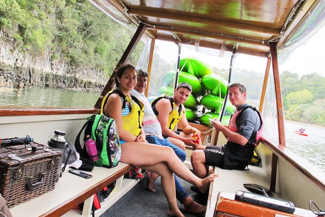 Bay of Islands Waterfall Explorer Kayaking Tour - Kayak vs paddleboard: Choosing what fits your body and comfort