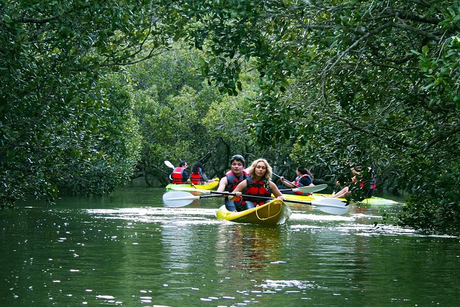 Bay of Islands Waterfall Explorer Kayaking Tour - Guides like Matt, Ben, and Kade: The narration is part of the value