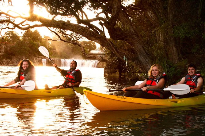 Bay of Islands Waterfall Explorer Kayaking Tour - Price and what you actually get for $67.02