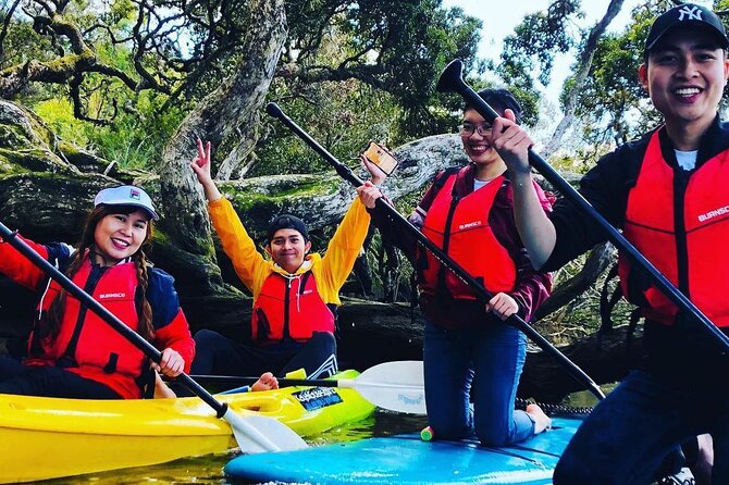 Bay of Islands Waterfall Explorer Kayaking Tour - Group size, body limits, and who this tour fits best
