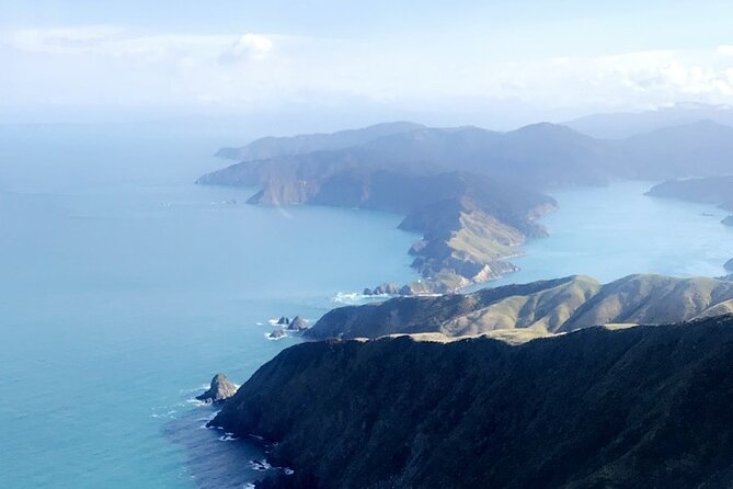 Bay of Many Coves, Marlborough Sounds- Heli-lunch from Wellington - Who this helicopter-lunch day suits best
