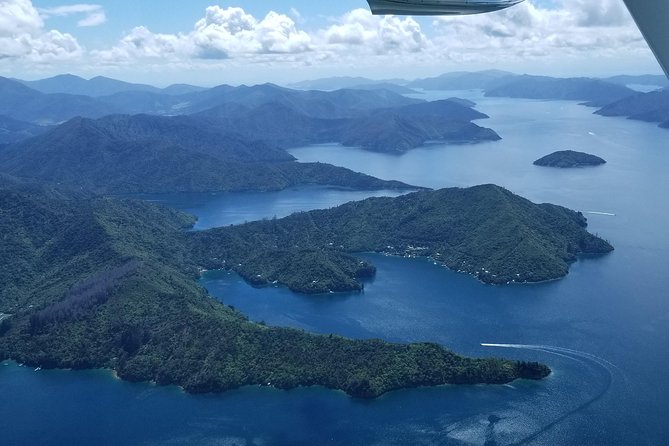 Bays and Bush Flight Scenic Tour - The best part: live narration and a calm, experienced cockpit