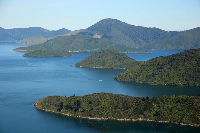 Bays and Bush Flight Scenic Tour - Comfort, group size, and who this suits best