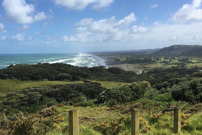 Beautiful Nature Tours Auckland - Private Tour - Kumeu wine region add-on, and how to time it for a short day