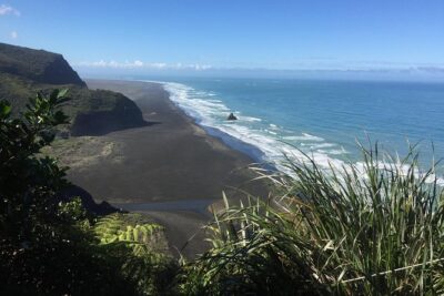 Beautiful Nature Tours Auckland – Private Tour